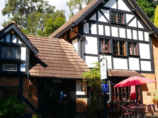 Last Drop Elizabethan